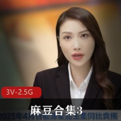 麻豆合集3  3V-2.5G