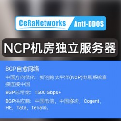 Ceranet跨太平洋(NCP)独立物理机