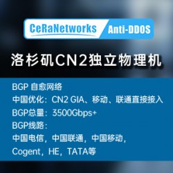 ceranetworks洛杉矶CN2高防独立物理机