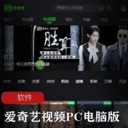 热门播放软件《爱奇艺视频PC电脑版》_去广告免费版