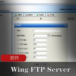 站长工具《_Wing_FTP_Server_6.5.2》FTP服务器软件绿色免费版