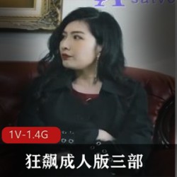 狂飙弯弯传媒版三部 [3V-2.8G]
