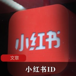 当代年轻人为什么都喜欢玩小红书？