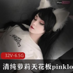 清纯萝莉天花板[pinkloving]精选p站合集 [32V-6.5G]