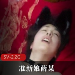 准新娘薛某-婚床激战 [5V-2.2G]